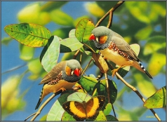 5 xu huong nong nghiep toan cau nam 2021