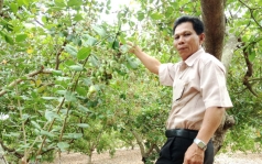 phu thuy  ghep dieu va  tuyet ky  ep cay tang hat
