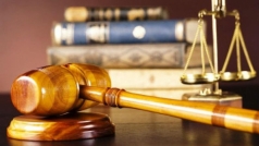 bao phap luat viet nam cuu gia dinh toi