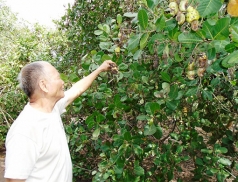 binh duong  mua trai mua nguoi trong dieu lo that thu