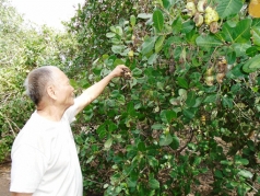 binh duong  mua trai mua xay ra lien tiep  nguoi trong dieu that thu nang