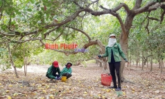 binh phuoc  buon vui vu dieu 2020