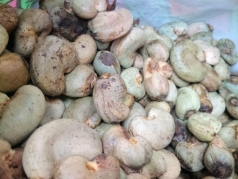 binh phuoc  cap thiet tai co cau nganh dieu