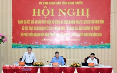 binh phuoc  day manh to chuc san xuat hinh thanh vung nguyen lieu cho nganh dieu