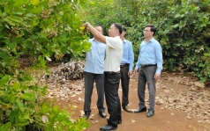binh phuoc lo  ??dut gay ?? vung nguyen lieu dieu