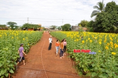 binh phuoc  nghe  lai xe khong thang