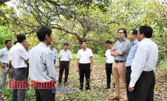 binh phuoc  phat trien ben vung htx can tiem luc manh