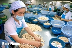 binh phuoc  phe duyet ke hoach thuc hien nhiem vu khuyen cong dia phuong