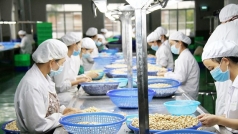 buc xuc vi hang xuat khau bi danh thue nhu hang cho