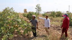 bui da lam hu vuon dieu cua nguoi dan xa ia lop dak lak