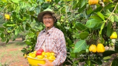 buoi tan trieu chom chom long khanh dieu binh phuoc va nhieu nhan hieu cong dong noi tieng cho   8221 doi chu  8221  sau sap xep