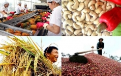 ca nam 2023 nganh nong nghiep xuat sieu ky luc 1207 ty usd