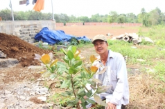 canh dong dieu lon