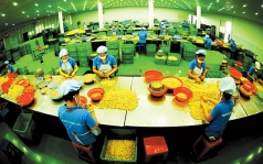 che bien nong san viet  no luc vuon tam khu vuc