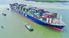 cma cgm quyet dinh dung tang gia cuoc van tai giao ngay  spot freight rate