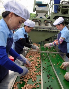 cong nghe che bien  mau chot tang gia tri nong san viet