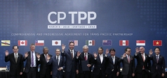 cptpp va evfta  khong chi la mo rong thi truong