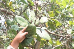dan ngheo sap bay tin dung den   bai 3  ngan khong xue