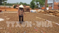 day manh tieu thu nong san  nganh dieu thay doi chien luoc phat trien