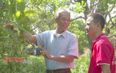 de nganh dieu giu vung ngoi vuong  bai 1
