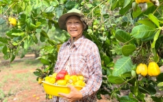 di tim loi giai cho hat dieu viet   bai 1