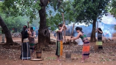 doanh nghiep can quy hoach cac vung san xuat nguyen phu lieu de san xuat xuat khau