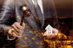 dong nai  dau gia nha xuong va day chuyen che bien hat dieu tri gia gan 50 ty dong  cong ty tnhh san xuat thuong mai phuc an