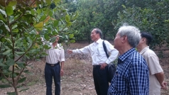 dong nai  xay dung cac du an lien ket trong san xuat nong nghiep