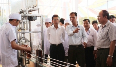 dong nai  xay dung vung chuyen canh ca cao trong xen cay dieu