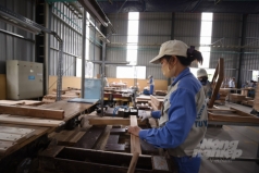 du thao nghi dinh huong dan luat ve moi truong bi phan ung manh