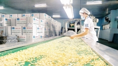 dua viet nam thanh trung tam che bien va logistics nong san