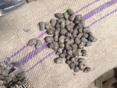 dung ten gia lua dao mua hat dieu chiem doat gan 2 ty dong