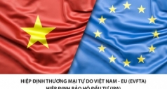 evfta  co hoi lon voi doanh nghiep viet