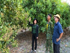 gia lai  mang cong nghe tuoi nho giot den vung chao lua