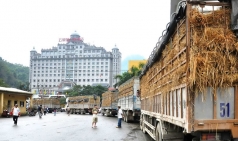 giai phap cho hang viet bi   8217 tac duong  8217  sang trung quoc boi dich ncov