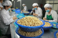 giai phap nao de doanh nghiep viet dam bao muc tieu kep giua boi canh covid 19