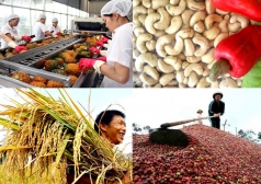 giai phap nao de nong san viet nam co cho dung tren ban do thuong hieu nong san the gioi