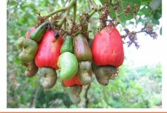 goc nhin  ve nhung thach thuc va co hoi