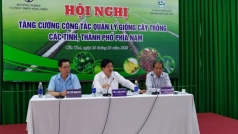 hien tuong vi pham ban quyen giong cay trong  nguyen nhan do dau