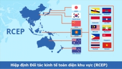 hiep dinh rcep tao  ??duong bay thang ?? cho xuat khau dieu