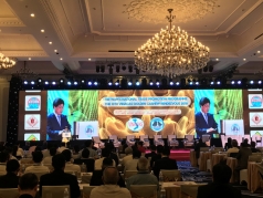 hoan to chuc hoi nghi dieu quoc te lan thu 12 vi virus corona