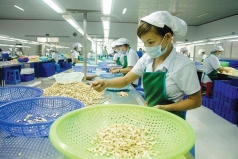hon 1 260 doanh nghiep tham gia xuat nhap khau trong 9 ngay tet 2019