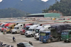 hon 1 300 phuong tien un u tai cua khau cho kiem tra an toan thuc pham