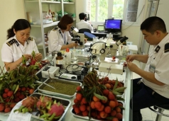 hon 80 dong hang nong nghiep sap mien kiem tra chuyen nganh truoc thong quan