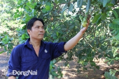 huyen trang bom  dong nai   go vuong ve nhan hieu cho dac san dia phuong