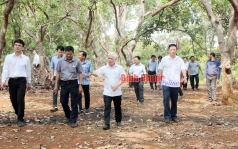 khat vong ky nguyen  ??nong nghiep thong minh ??