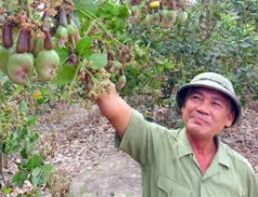 khong ta i canh gio ng die u ke m cha t luo ng
