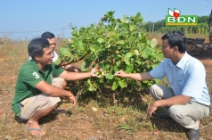 ky niem ngay bao chi cach mang viet nam 21 6  nguoi lam bao chan chinh luon duoc tin yeu