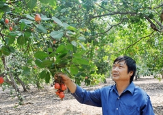 lan song san xuat sach dang lan nhanh trong nganh nong nghiep