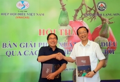 lang son tao moi dieu kien de doanh nghiep xuat khau dieu qua trung quoc